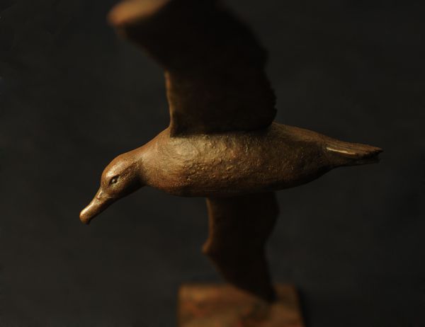 #Bronze #sculpture by #sculptor Anthony Smith titled: 'Wandering Albatross (Bron...