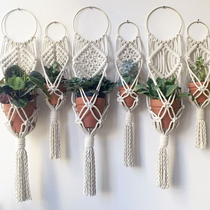 Mini plant hangings are still available and only $15 each!!