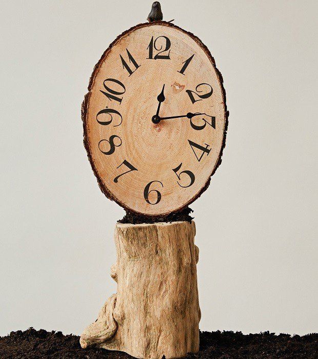 Fir Wood Wall Clock With Bird Topper