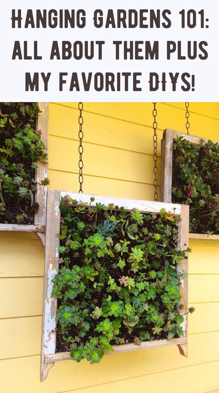Hanging gardens are a beautiful addition to any home's outdoor decor - learn...