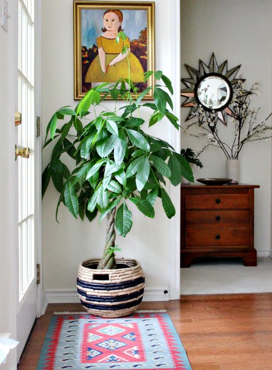 Place a plant in an entryway for immediate impact as you walk through the door
