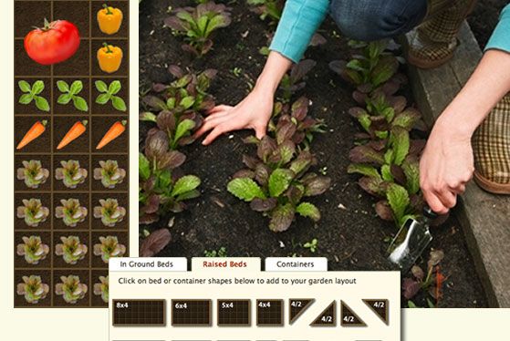A website that plans your garden FOR YOU! You tell it where you live, it tells y...