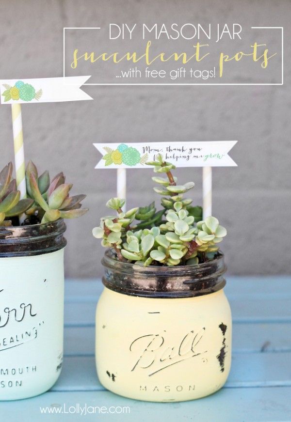 DIY mason jar succulent pots with free printable gift tags. Perfect for Mothers ...