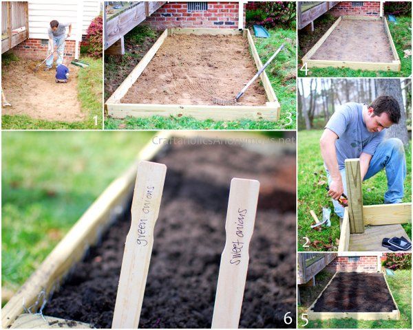 DIY vegatable garden