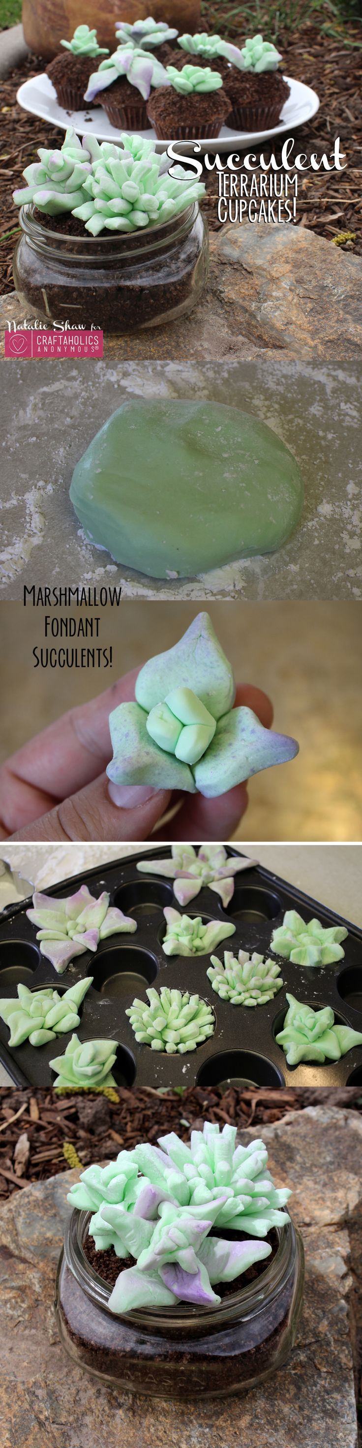 How to make Succulent Cupcakes || Love these! Perfect for spring/summer gatherin...