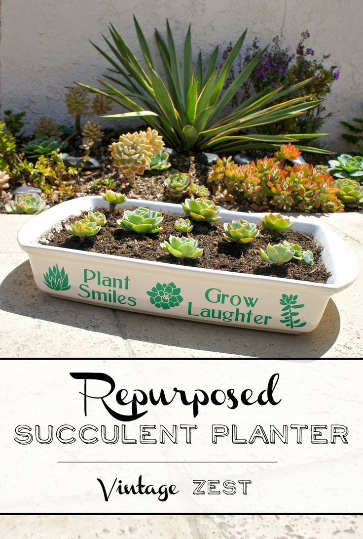 Making Good - DIY Repurposed Succulent Planter