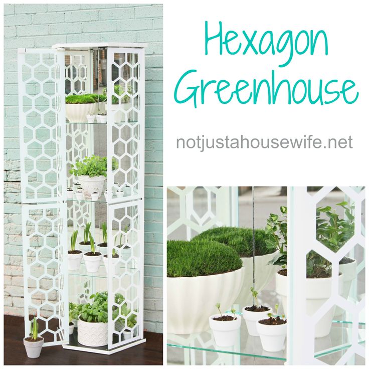 What a cute little #greenhouse!