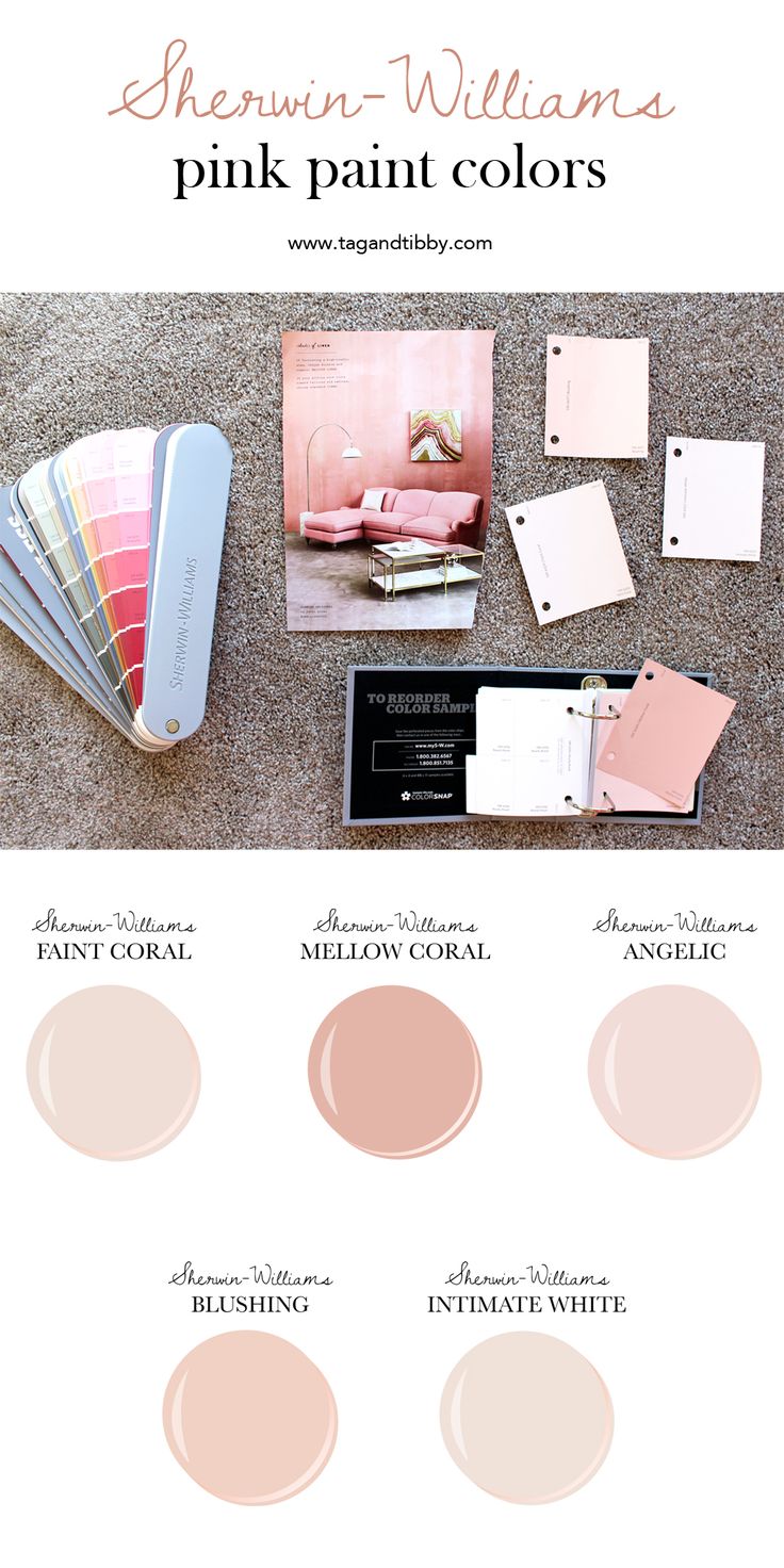 from soft corals to blush, the best 5 pink Sherwin-Williams paint colors