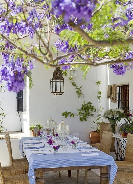 Alfresco dining euro style & look at that Wisteria.  Cypress.