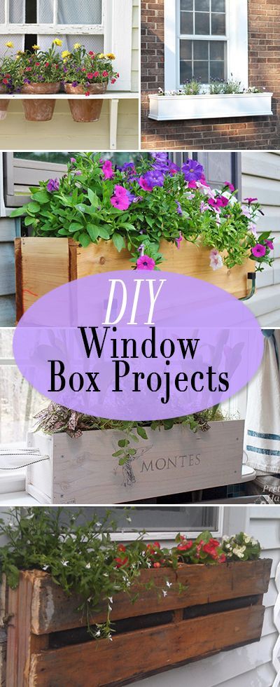 DIY Window Box Projects • Tutorials and ideas for bumping up that curb appeal,...