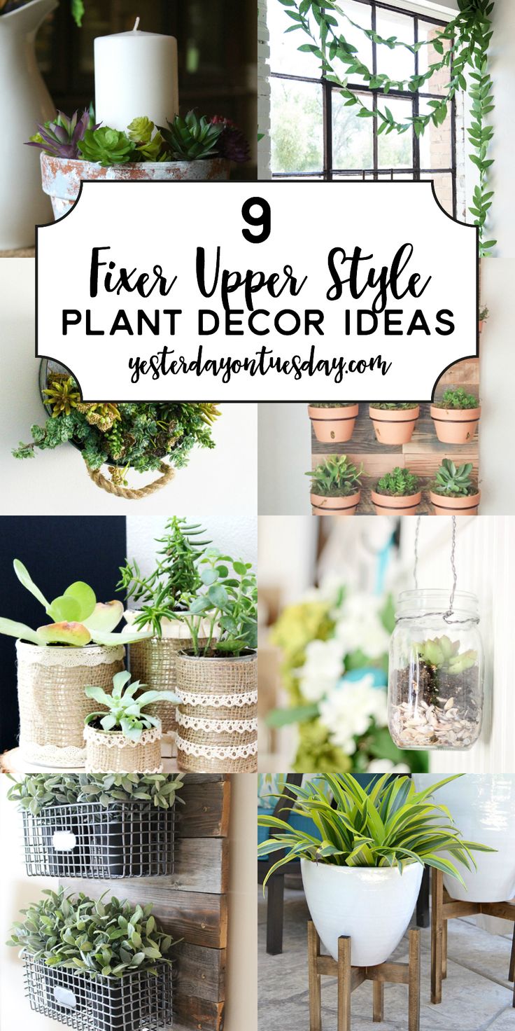 Modern Farmhouse Plant Decor Ideas: Great fixer upper inspired ways to add real ...