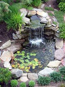 water features ~ fish ponds