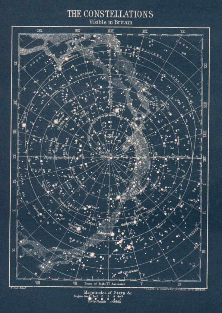 antique Constellation star map circa 1900s vintage map of stars visible in Britain Astronomy star chart blue white