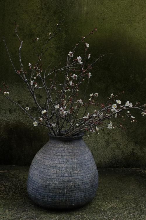 Vase by Kazunori HAMANA, Japan