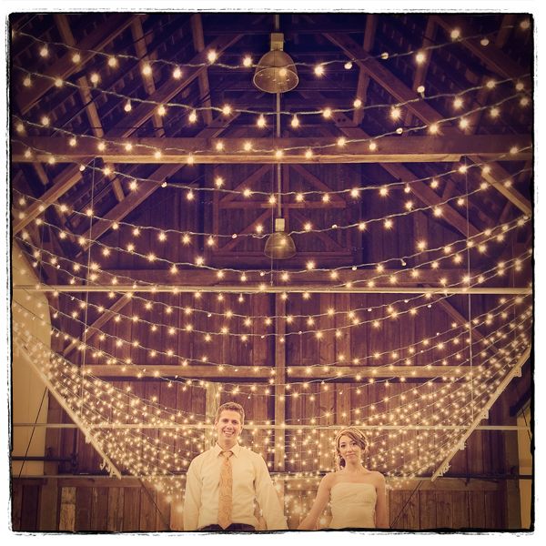 barn, wedding lights