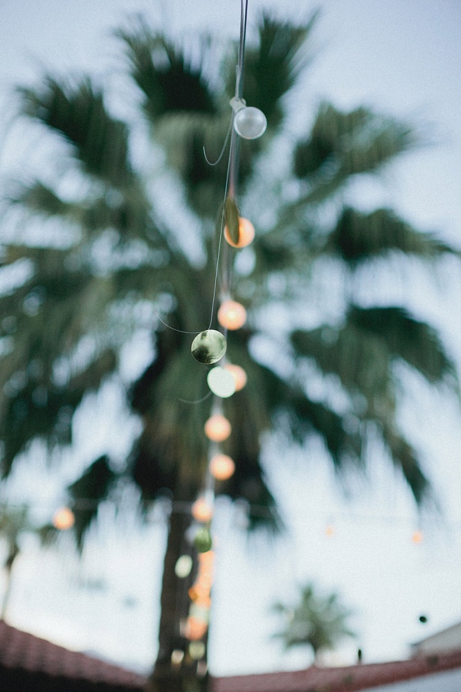 palm tree, summer outdoor dining, string lights