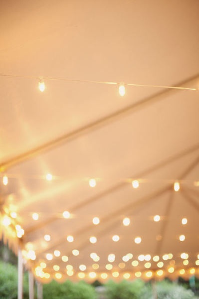 tent lights // Elisabeth Millay
