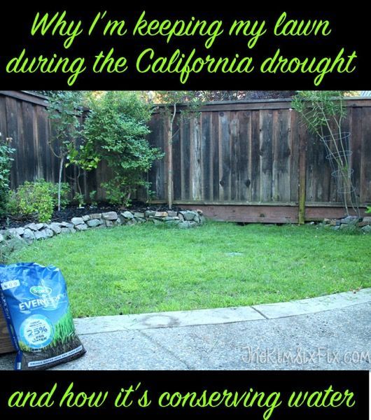 How I cut back my lawn watering by 60% during the California drought and was act...