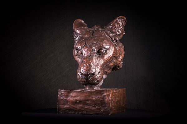#Bronze #sculpture by #sculptor Matt Withington titled: 'Portrait of a Lioness (...