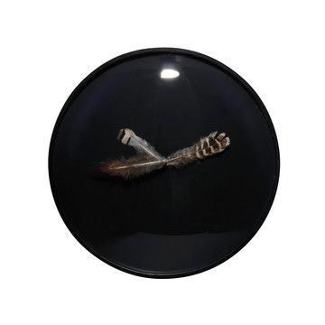 Stiker-Metral+Feather+Clock,+$210, now featured on Fab.
