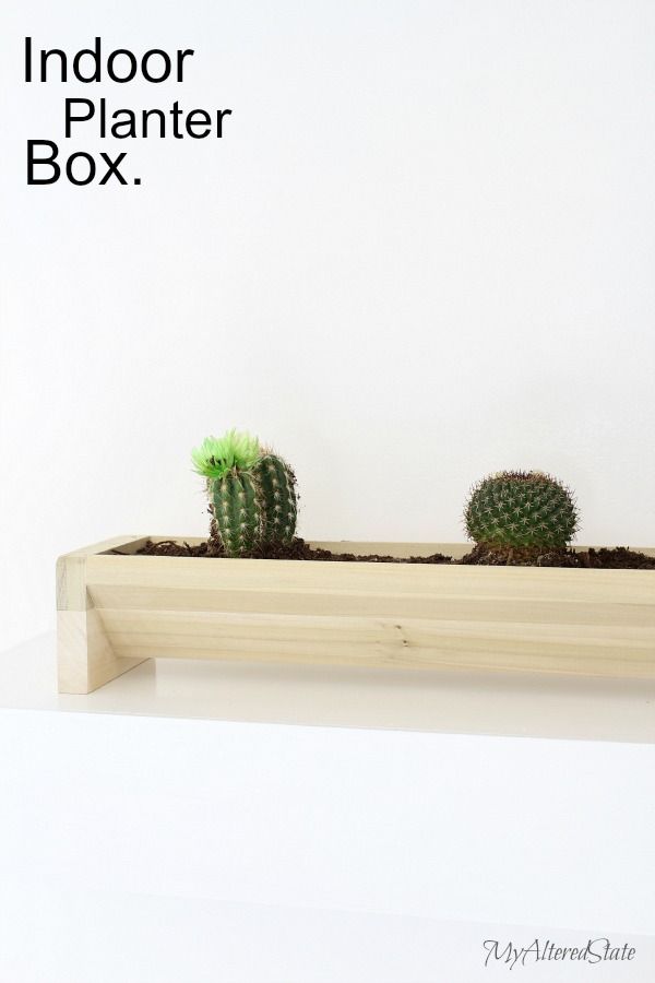 indoor cactus planter box