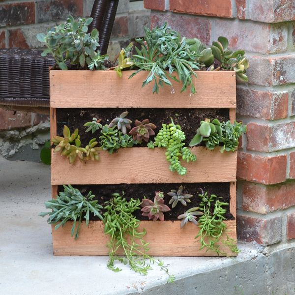 Make your very own succulent planter out of cedar that looks like a pallet. Oh, ...