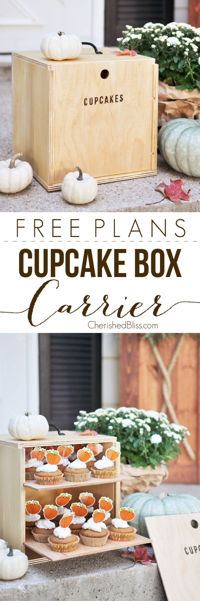 With these easy to follow Free Plans you can build this Cupcake box Carrier. It ...