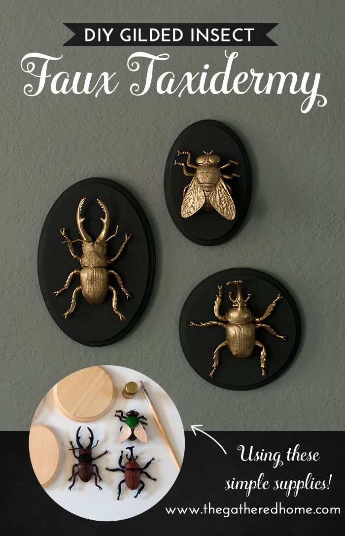 These GIANT gilded insect art pieces are such a crazy, glam 3D addition to my li...