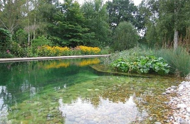 17 Natural Swimming Pools You Wish Were In Your Backyard www.clear-water-r... cl...