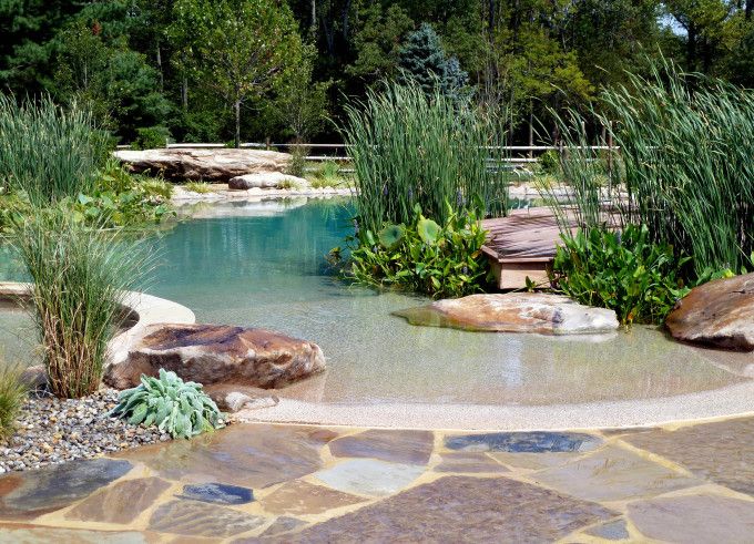 Natural swimming pool. Uses a natural water filtration system instead of chlorin...