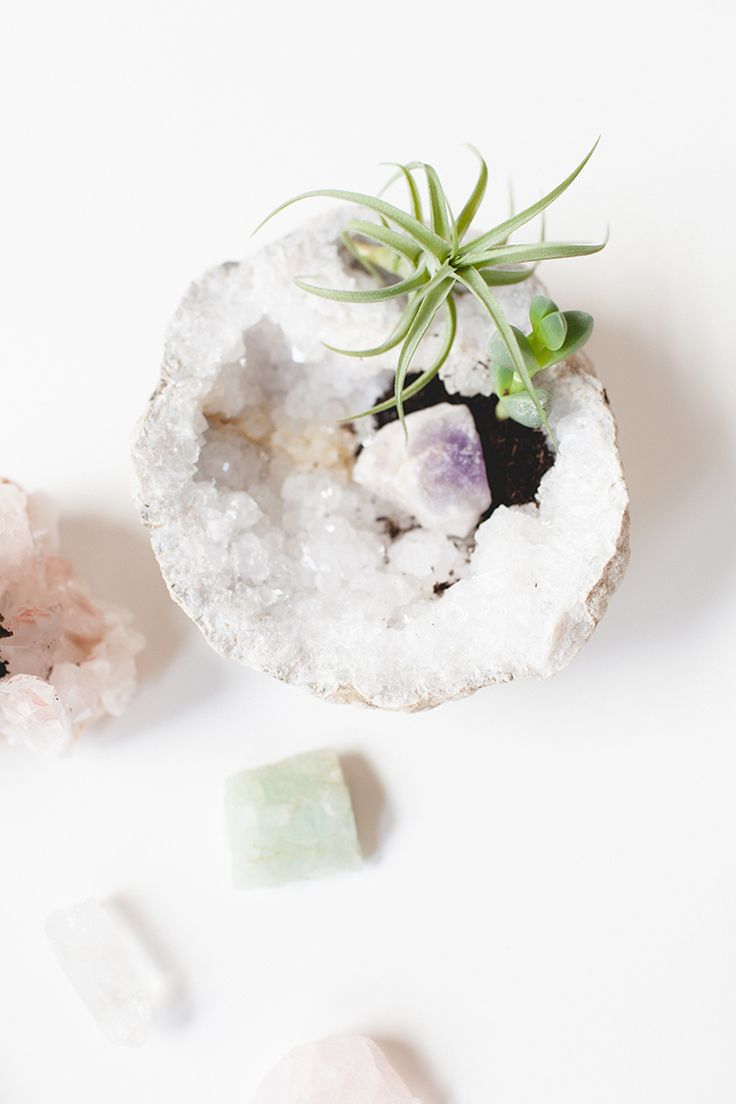 DIY crystal planters to purify your home incorporate air plants and succulents f...