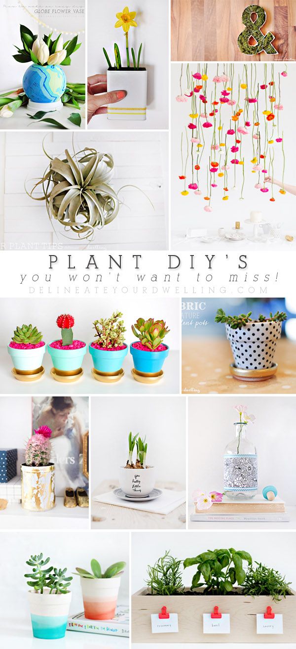 Plant DIYs you won't want to miss! - Delineate Your Dwelling