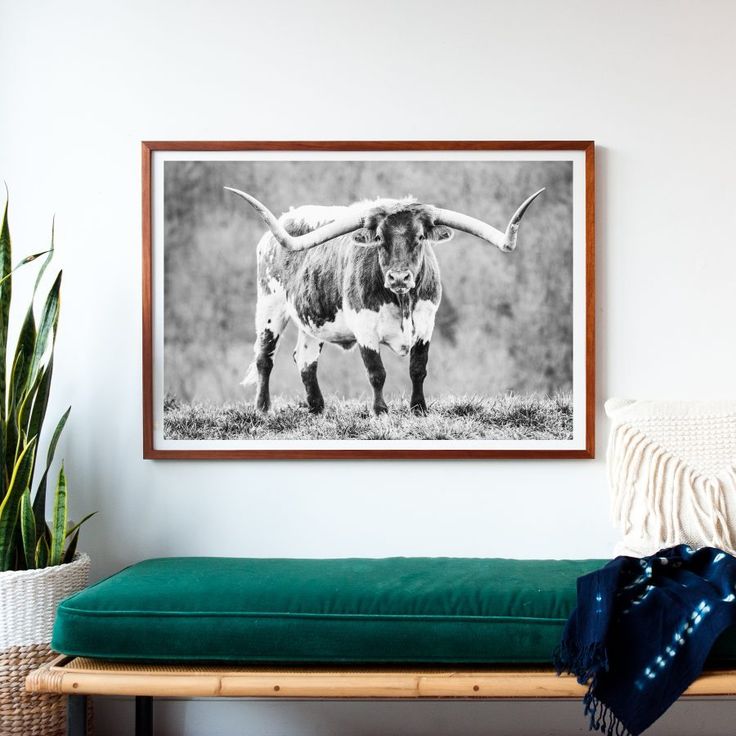 CC and Mike print shop - buy gorgeous affordable art, longhorn picture, modern f...