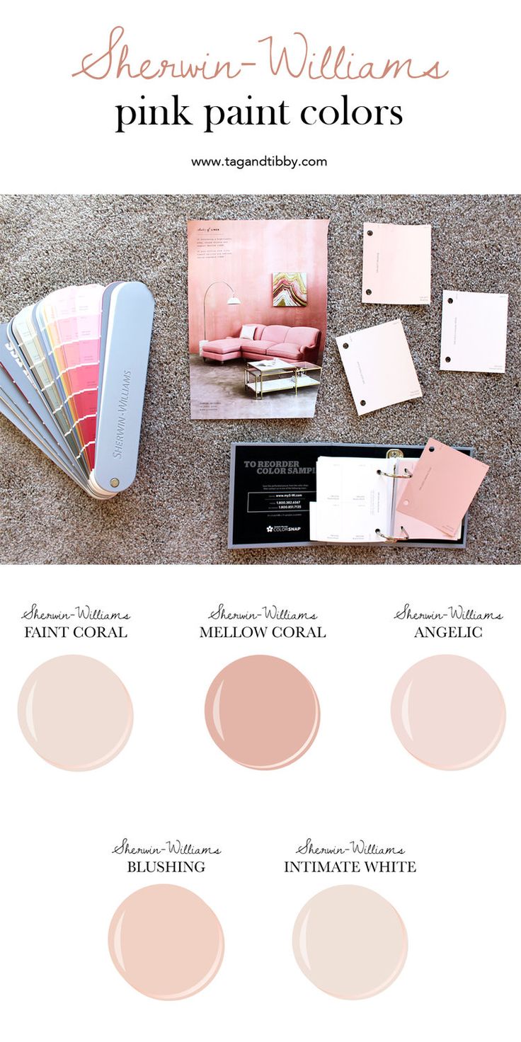 from soft corals to blush, the best 5 pink Sherwin-Williams paint colors...