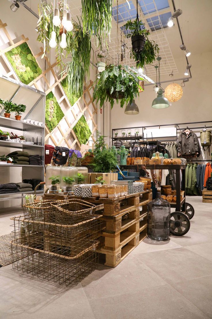 Juttu a sustainable shop in Antwerp Belgium decorated with hanging plants and a ...