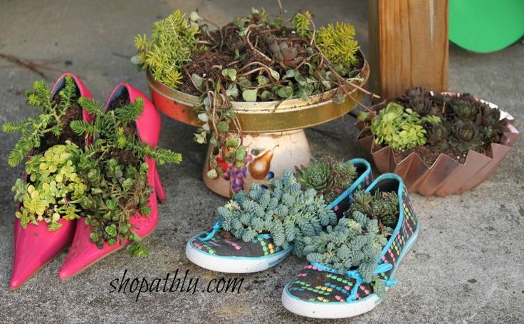 $2 shoes + succulents = Garden WIN!