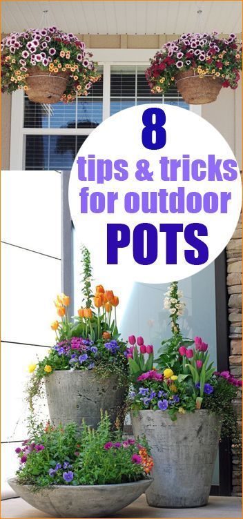Awesome tips and tricks for planting, displaying and maintaining outdoor pots.