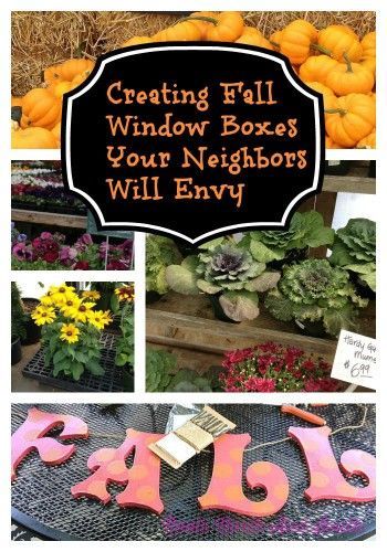 Creating a Fall Window Box Your Neighbors will Envy - Roots North & South: