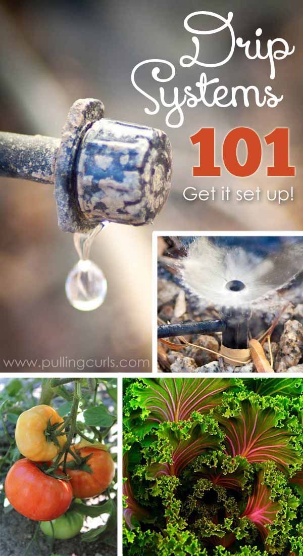 Drip irrigation is an easy, effective way to water your plants without wasting o...