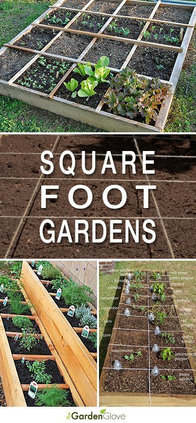 Easy Steps To Square Foot Garden Success • How-to's, examples & projects t...