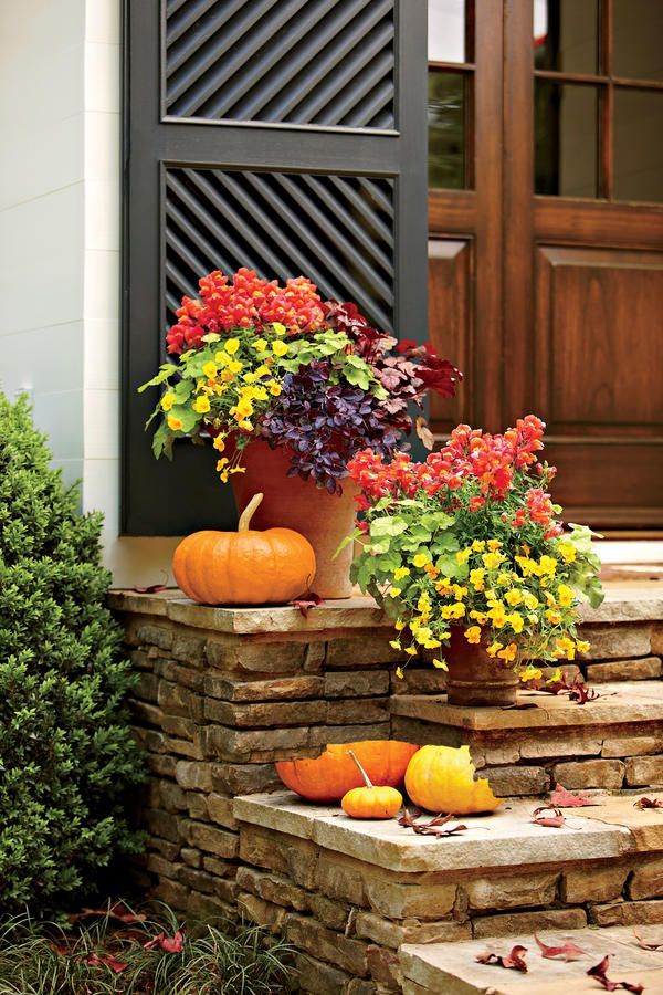 Fall Container Gardening Ideas: Vibrant Fall Colors...