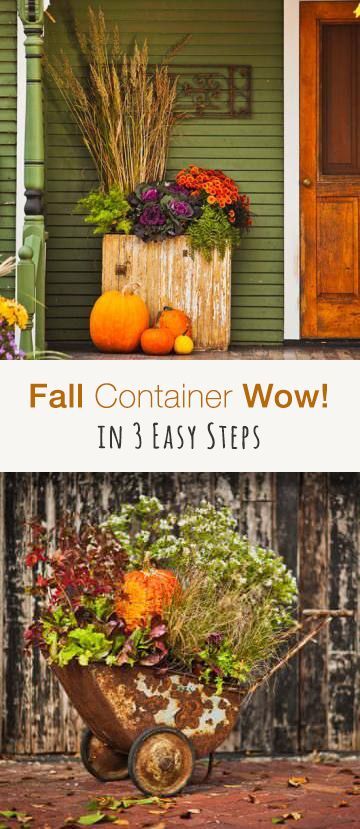 Fall Container Wow in 3 Easy Steps! • Tips and ideas!