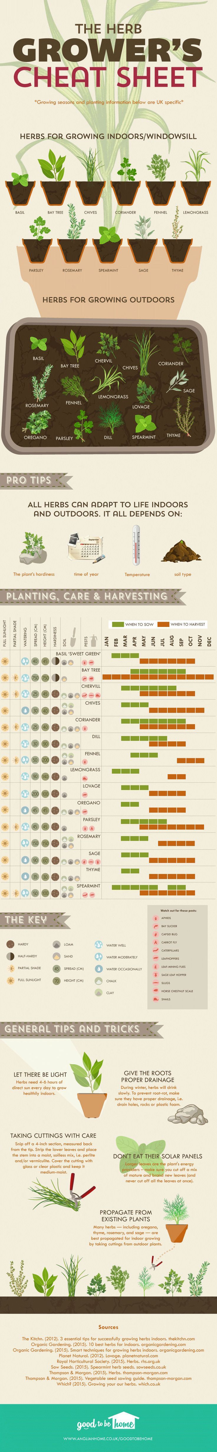 Herb Grower's Cheat Sheet - which ones can be grown inside, when to plant, w...