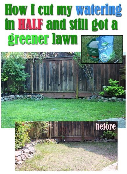 How I cut back my lawn watering by 60% during the California drought and was act...