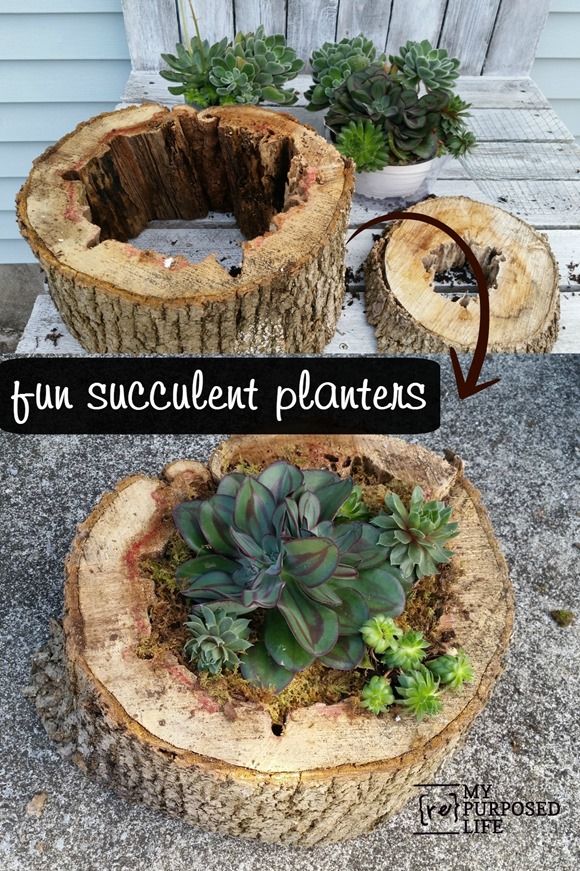How to use old rotted pieces of tree trunk to make easy diy succulent planters. ...