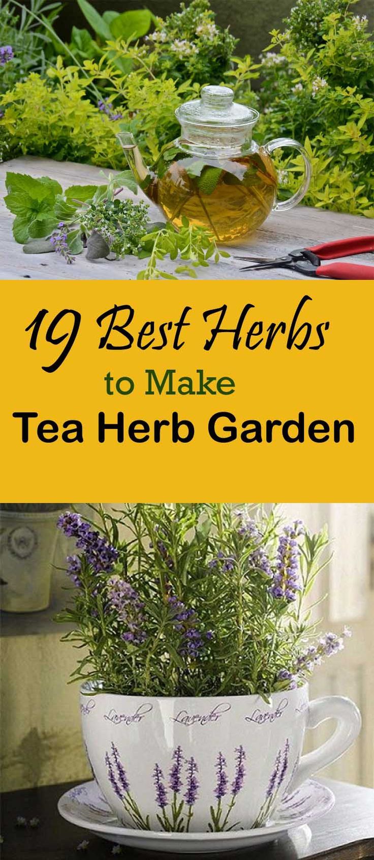 Like to sip herbal tea? Check out 19 Best Herbs To Make Tea Herb Garden