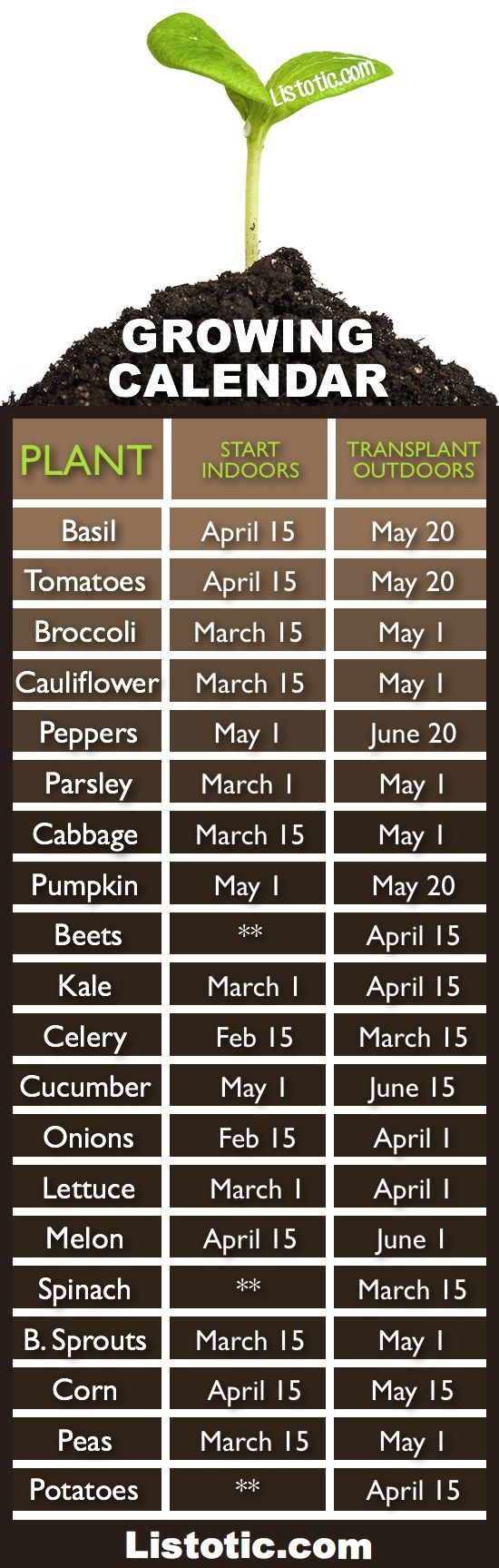 When to plant your vegetable garden.... When to plant what? Time to get started!