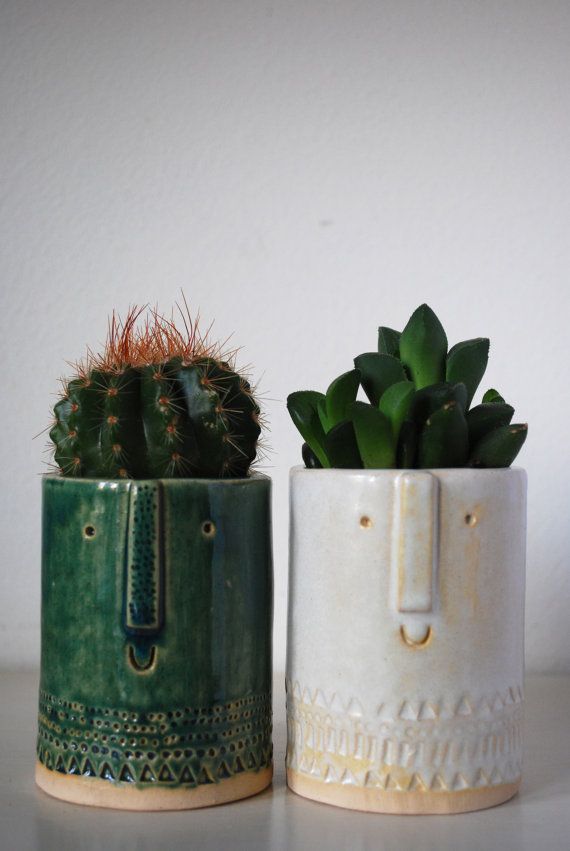 cacti in happy pots