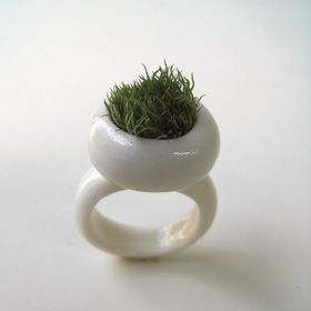 honey, there is moss growing out of my ring!