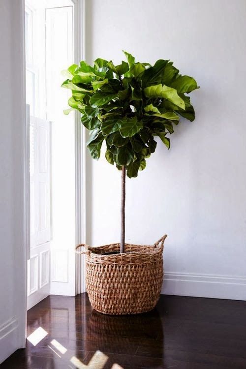 Natural basket from Bodie and Fou www.bodieandfou.c...